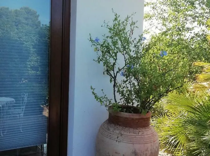 Casa Gelsomino 4*
